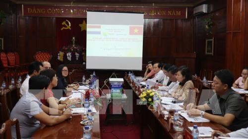 Netherlands eyes cashew industry in Binh Phuoc