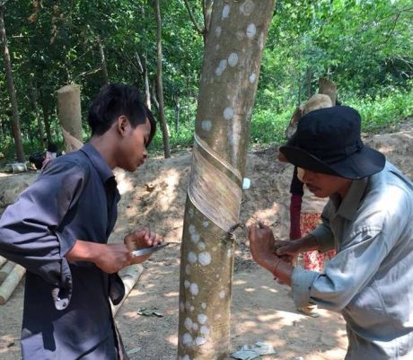 ADB approves USD60 million to improve skills of Cambodia s labor force