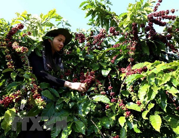 Vietnam records trade deficit of USD1 3 billion in May