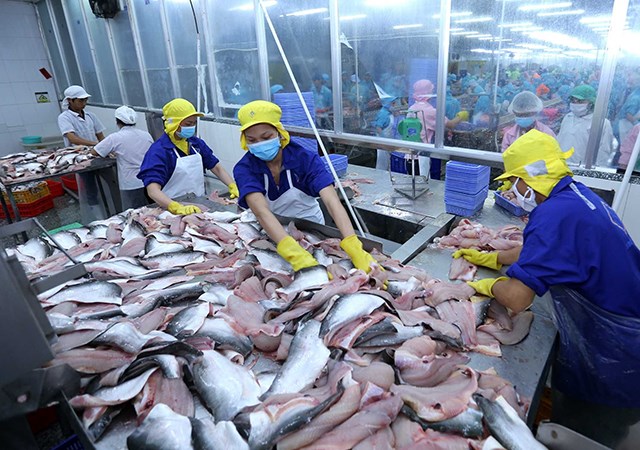Tra fish exports surge in May