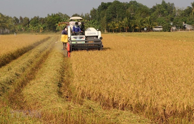ODA for agricultural development nears USD2 billion in 20 years