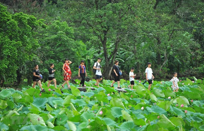 Vietnam among top five favourite places of Japanese tourists
