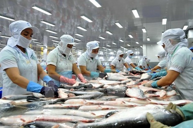 Tra fish exports to Southeast Asia rise 14 6 percent