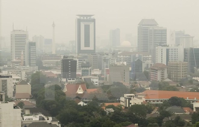Indonesia curbs private cars to cut air pollution