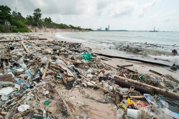 Thailand reduces use of 1 5 billion plastic bags over past year