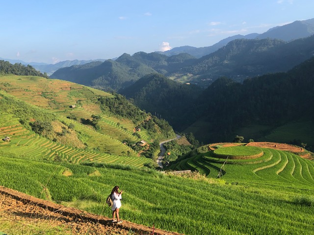 Mu Cang Chai terraced fields to be honoured