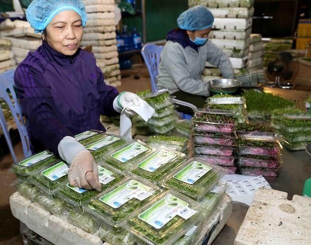 Vietnam takes measures to prevent trade frauds