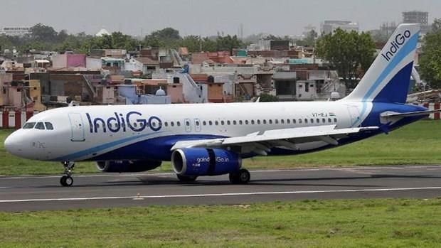 Indian airline launches 2nd direct route to Vietnam