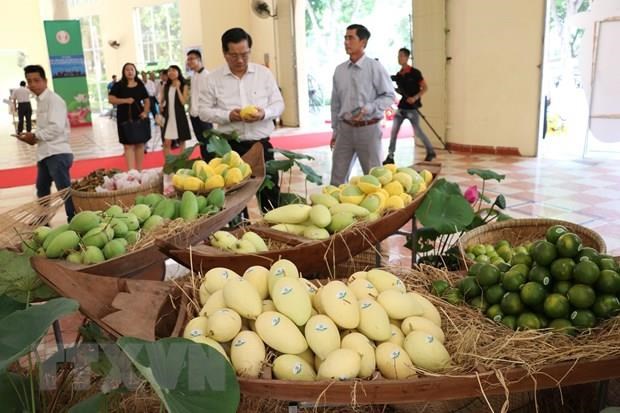 EU enhances inspections on Vietnam’s agricultural products from Sept 1st