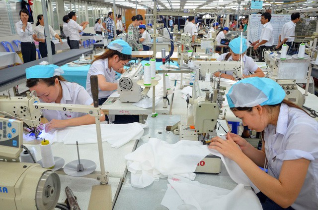Overseas Vietnamese assist HCMC businesses to join EVFTA