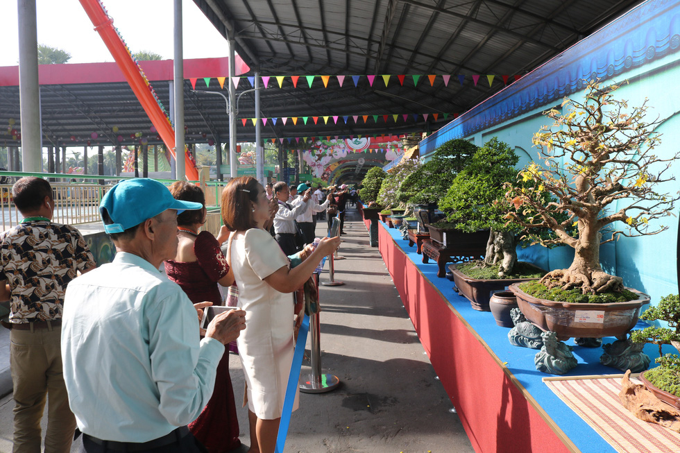 Asia - Pacific bonsai and Suiseki exhibition in HCM city