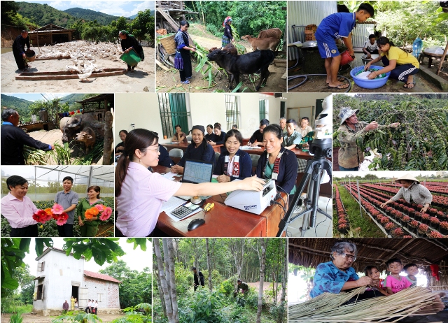 17 years A journey to create new value