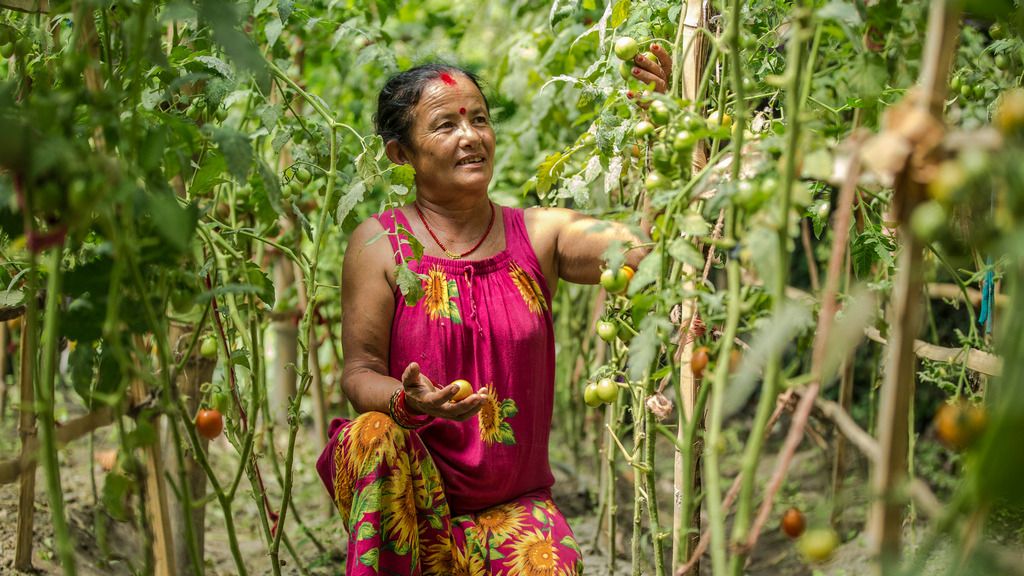 ADB helps Nepal to develop agriculture and improve food safety