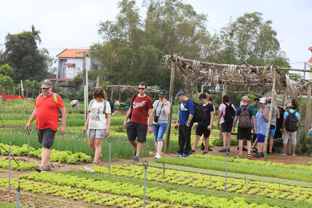 Hoi An to welcome first international tourists of 2020 at Tra Que vegetable village