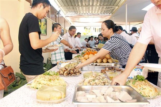 Vietnamese communities in Czech Republic, Angola welcome New Year