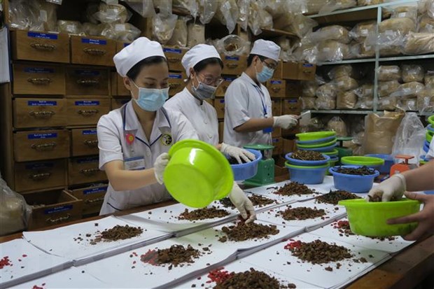 Vietnam has 66 traditional medicine hospitals