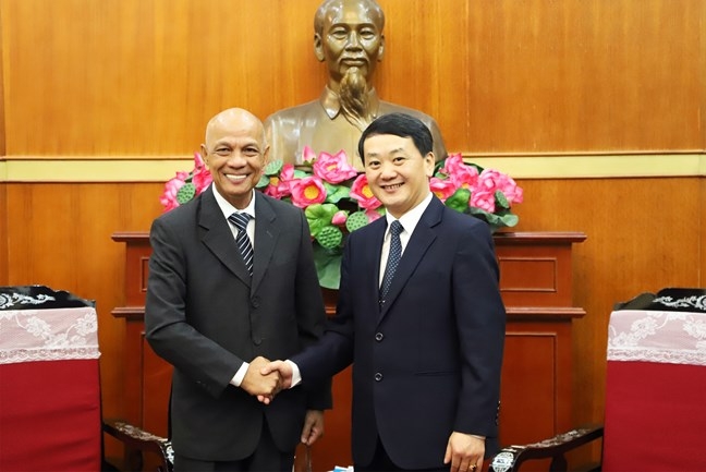 Organization helps expand international markets for Vietnamese goods