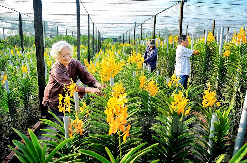 Southern hub successfully builds new-style rural areas