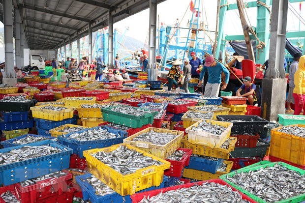 Conference talks ways to fight illegal, unreported, unregulated fishing