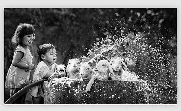 Vietnamese photographers honoured at 5th Balkan exhibition