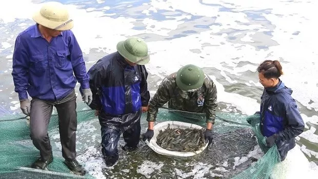 Aquaculture output up 3 7 percent in two months