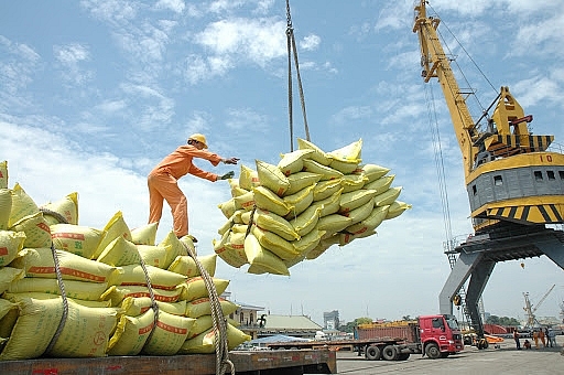 Rice export sharply increased