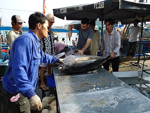 Japanese market prefers Vietnamese tuna