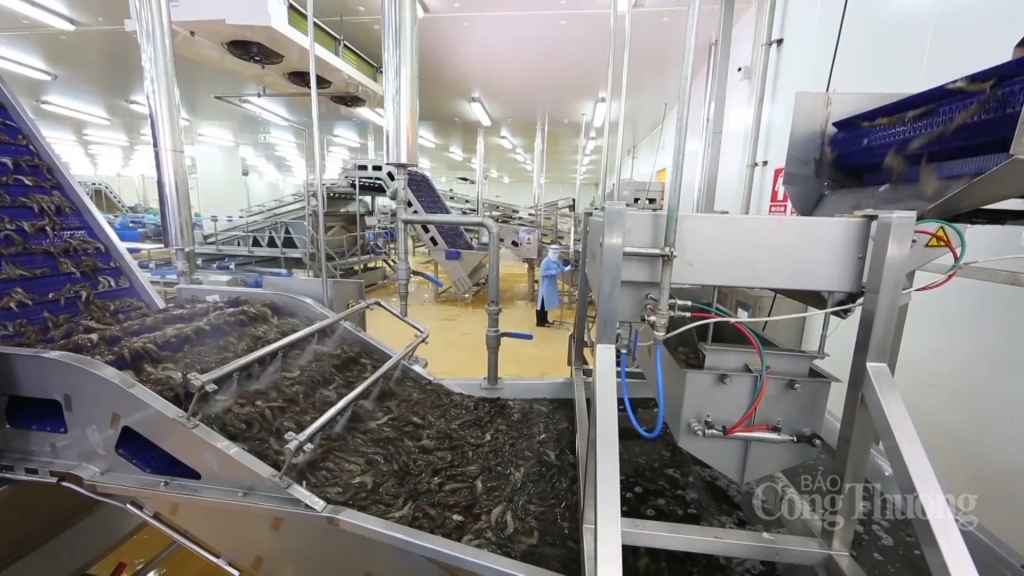 Southern province gears up to expand fisheries export market