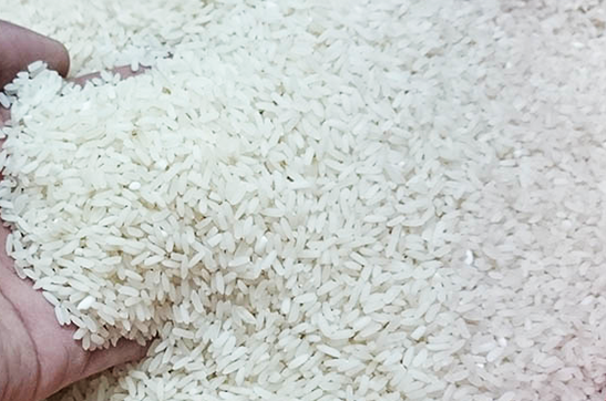 Vietnam to achieve rice export target this year