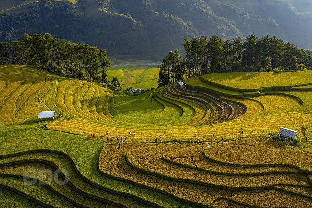 Vietnamese photographers win FIAP gold medal