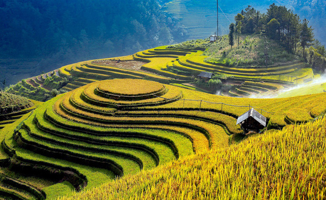 Promoting value of Mu Cang Chai terraced fields association with tourism development