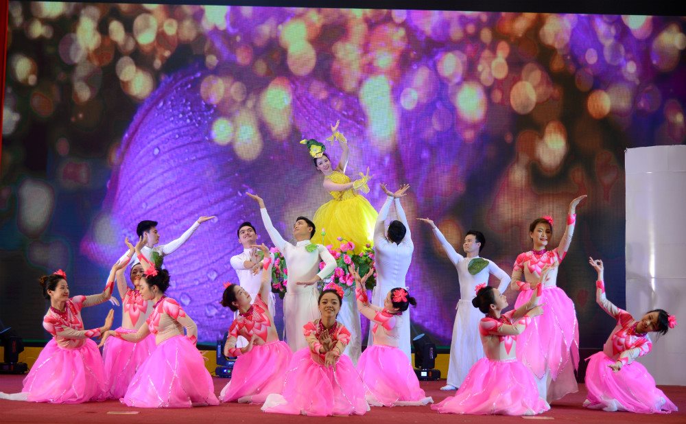 Diverse cultural activities in Hanoi to welcome Party Congresses at all levels
