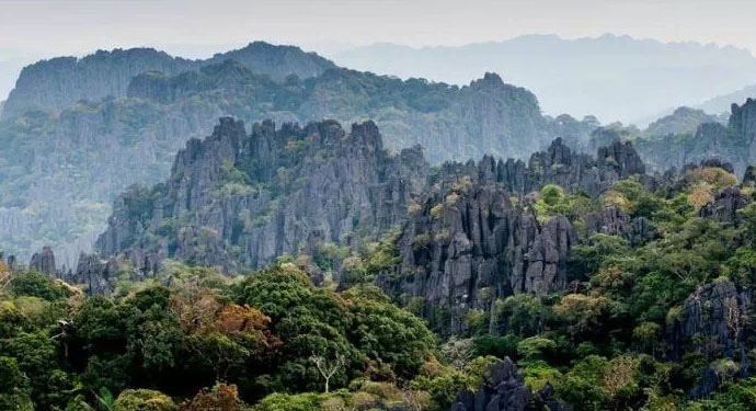 Assisting Laos in compiling dossier on Hin-nam-no National Park for UNESCO’s recognition