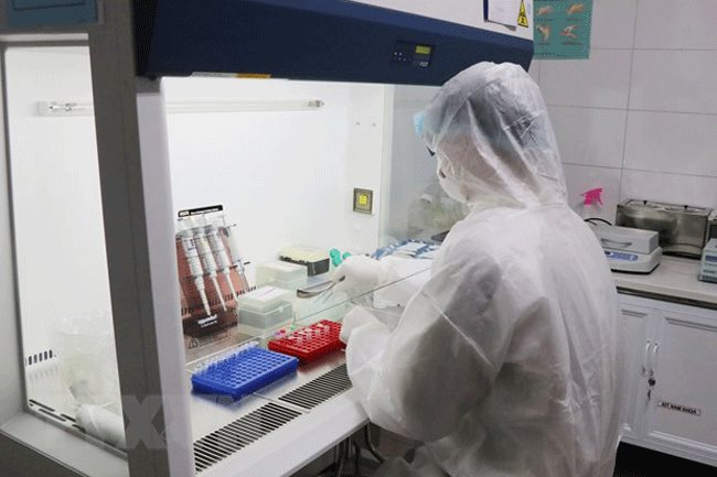 Vietnam successfully produces SARS-CoV-2 test kit