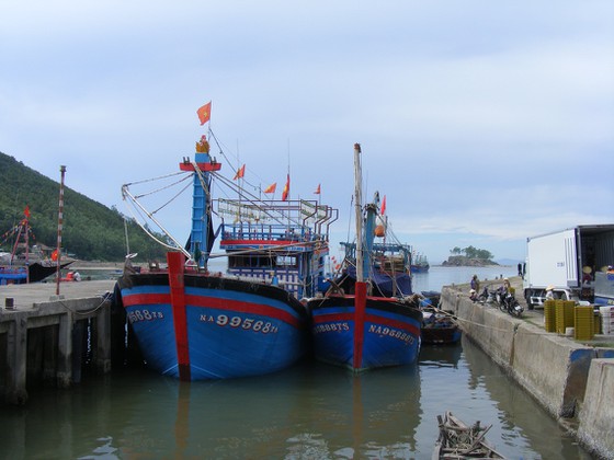 Nghe An province pours nearly VND56 billion to build embankment for ships