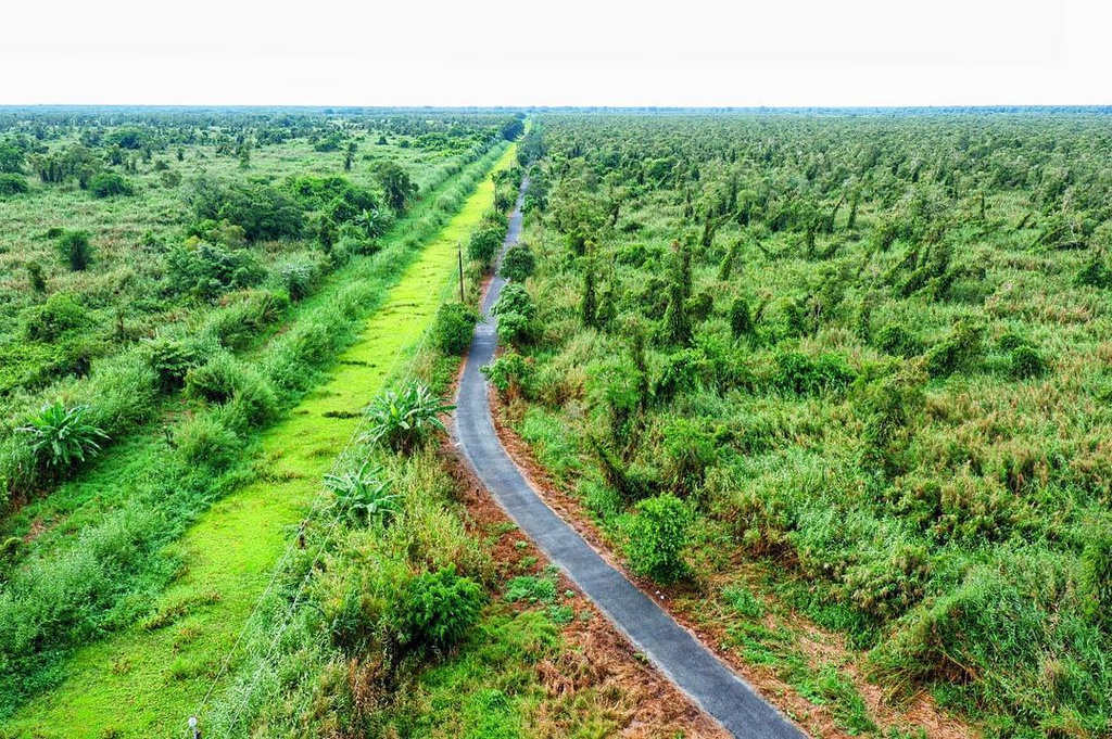 Four famous beautiful primeval forests in Vietnam