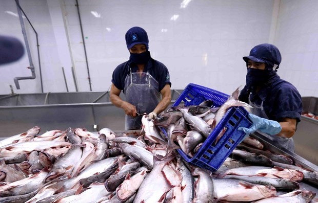 Aquatic exports to China shows sign of recovery