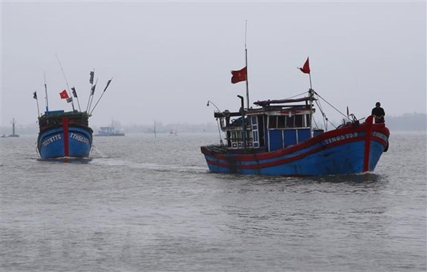Vietnam protests, demands compensation for fishing ship China sank in Hoang Sa waters