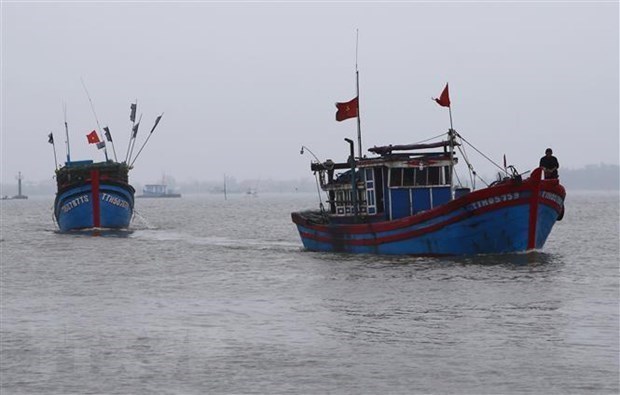 US senators express concern over East Sea situation