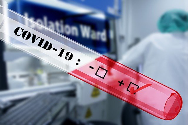 Vietnamese community in US joins hands to fight COVID-19 in homeland