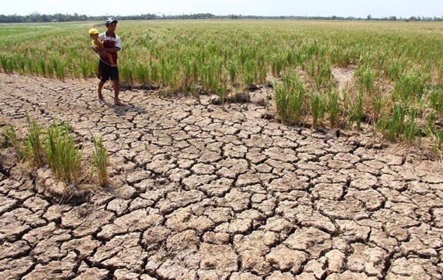 Eight Mekong Delta provinces supported 530 billion VND to prevent drought and salinization