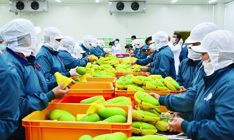 Vietnam records trade surplus of 2 82 billion USD in first quarter