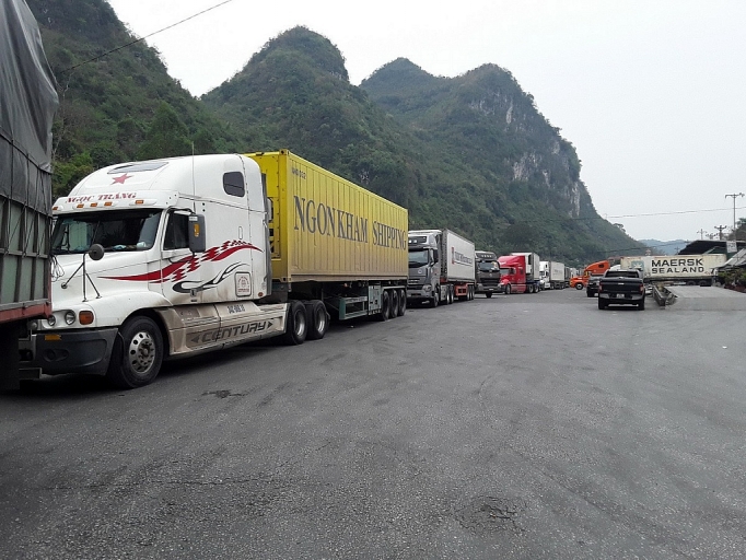 Exports to China sharply increase thanks to controlled COVID-19