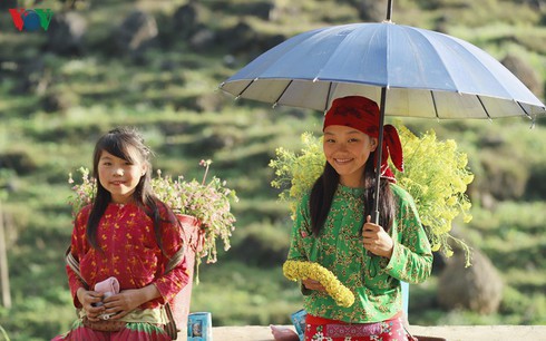 VOV Online launches “Vietnam in my heart” photo contest