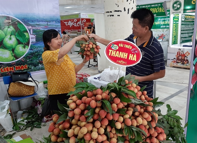 Thanh Ha lychee fair opens in Hanoi