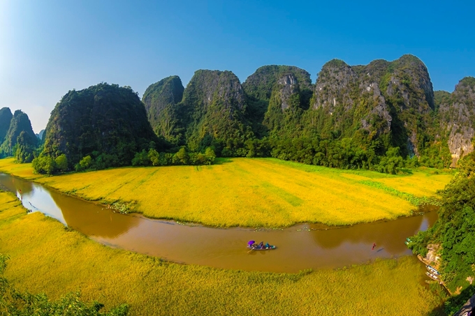Introducing the beauty of Tam Coc in ripe rice season