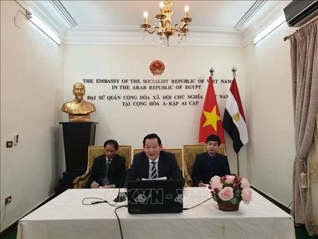 Webinar on President Ho Chi Minh held in Egypt