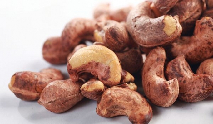 Cashew exports reach USD1 24 billion