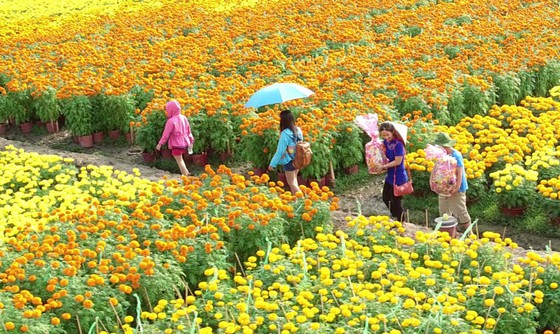 Sa Dec culture tourism village