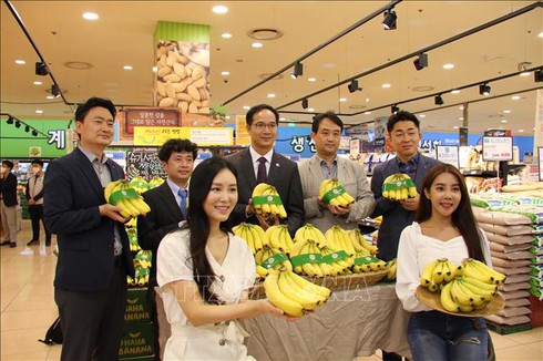 Vietnamese bananas consumers in RoK